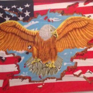 Riverridge Quality Beach Towels Eagle/American Flag 30"X60" New